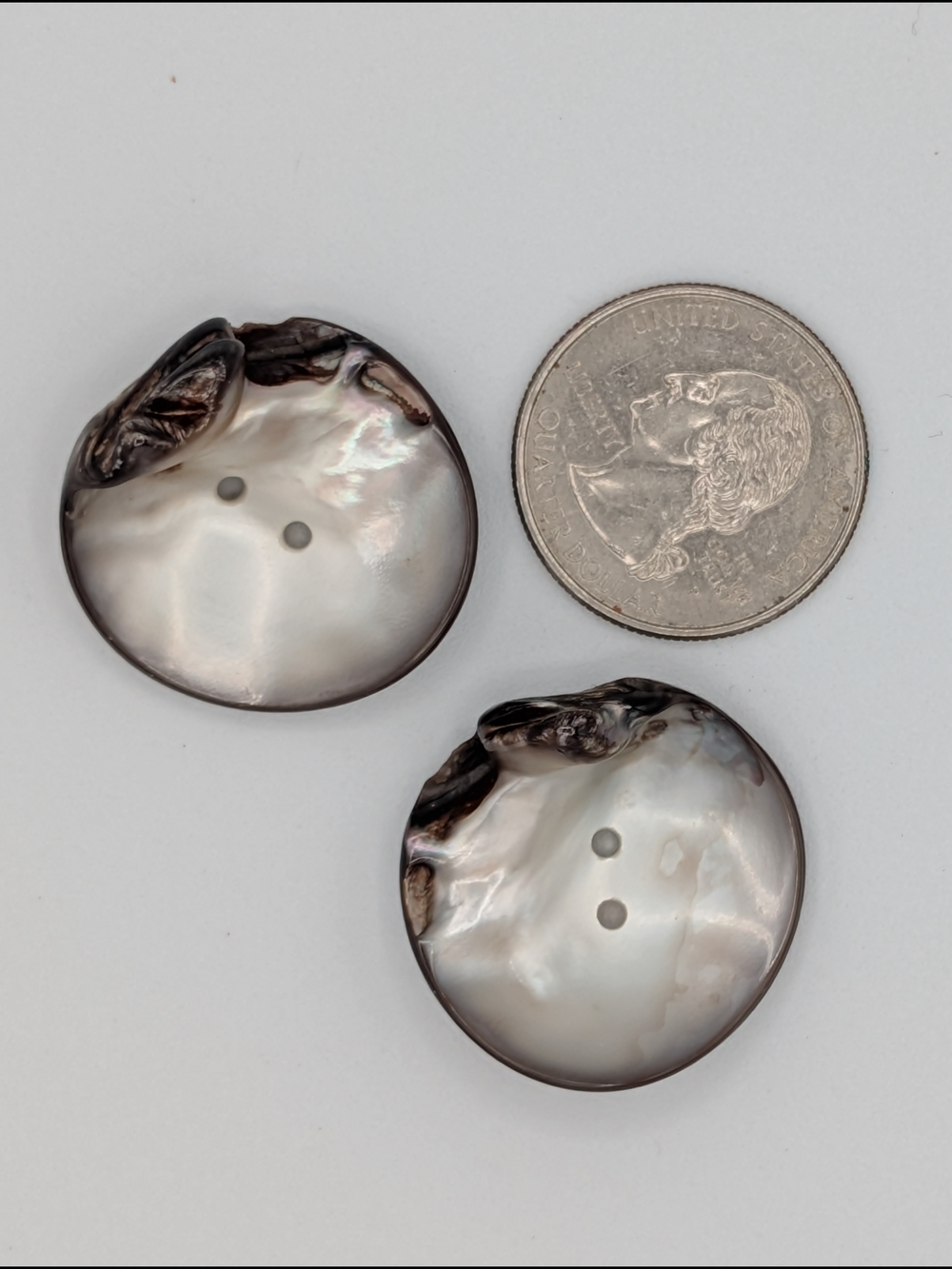 Natural Shell Buttons - Picture 6 of 6